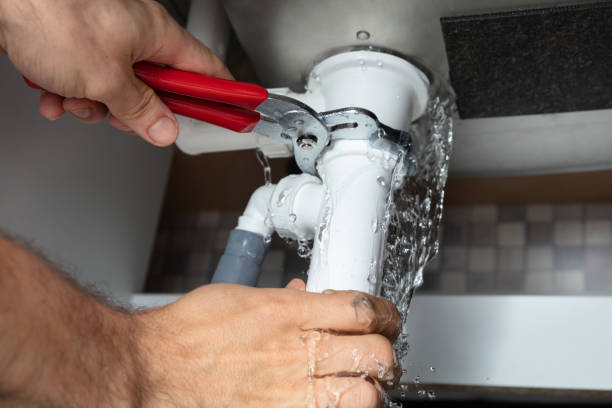 Best Carpet water damage restoration  in Edisto, SC