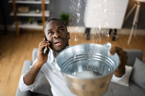 Best Basement water damage restoration  in Edisto, SC