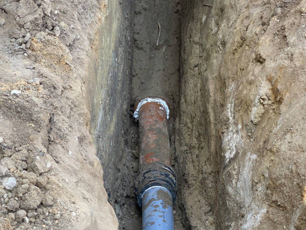  Edisto, SC Water damage restoration Pros