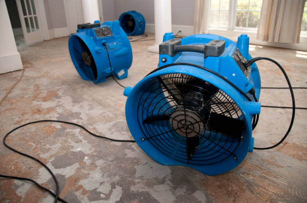 Best Ceiling water damage repair  in Edisto, SC