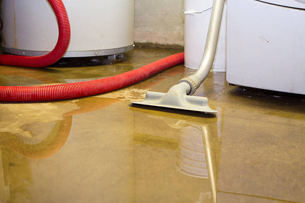 Best Water damage restoration near me  in Edisto, SC