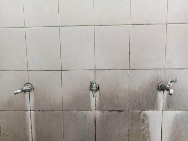 Best Local water damage restoration  in Edisto, SC