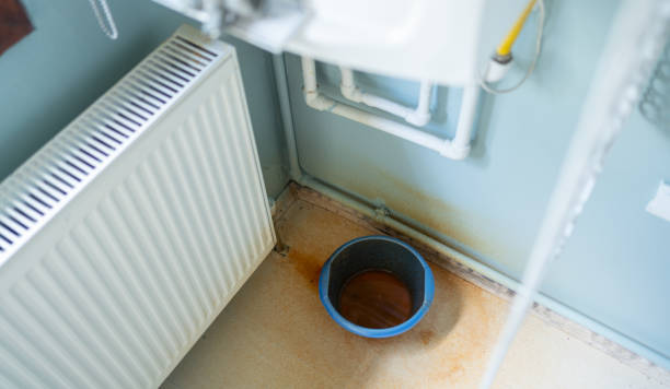 Best Flood restoration services  in Edisto, SC