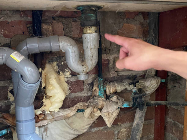 Best Water damage cleanup near me  in Edisto, SC