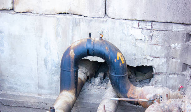 Best Water damage contractors near me  in Edisto, SC