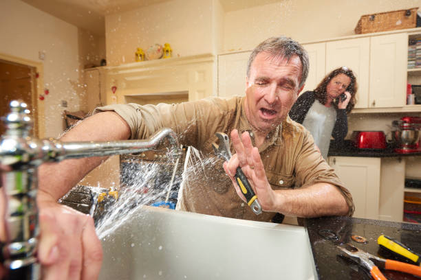 Best Local water damage restoration  in Edisto, SC